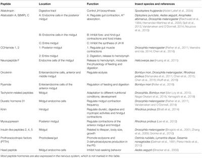 Peptide Hormones in the Insect Midgut